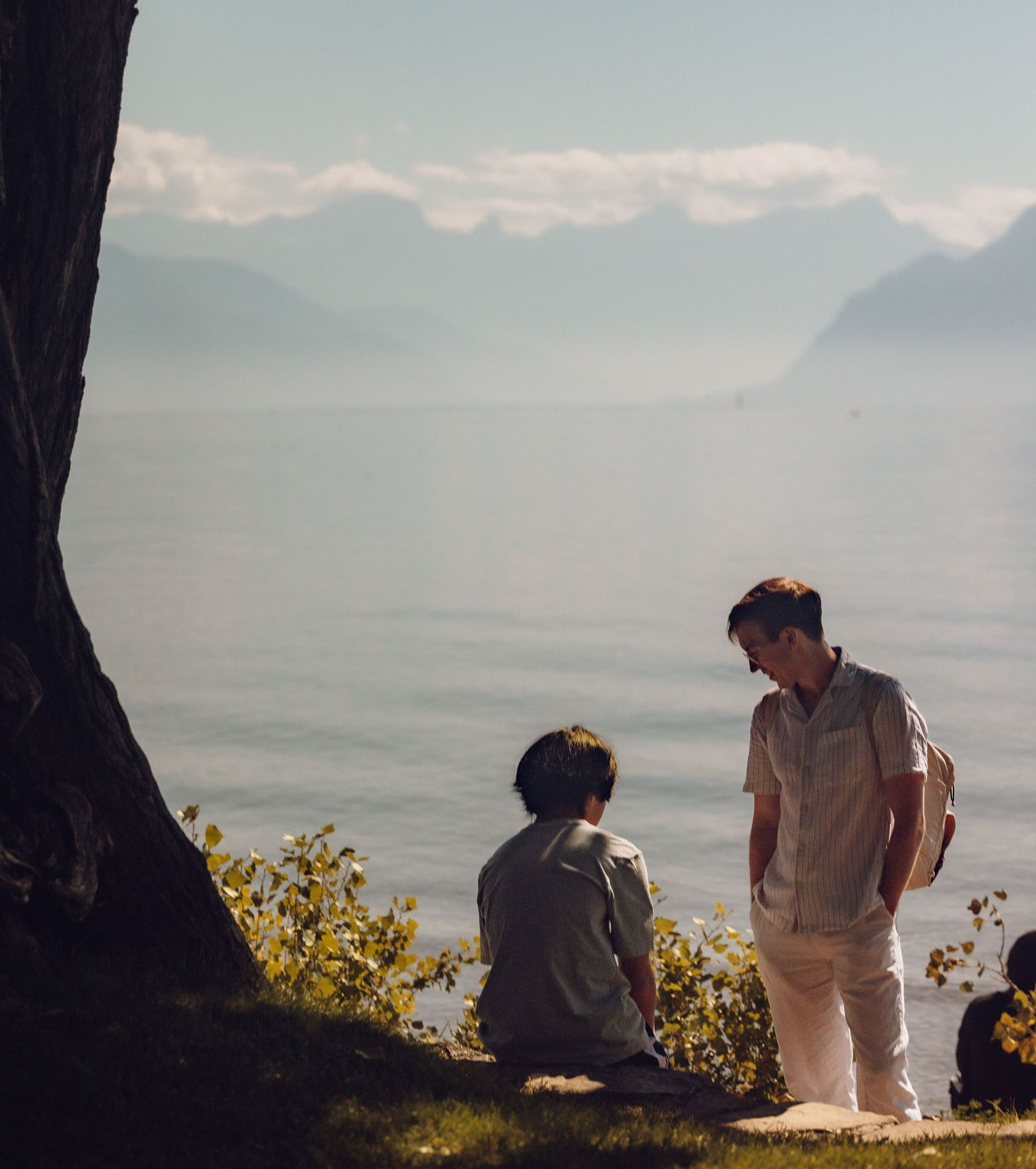 Students having a conversation outdoors under a tree