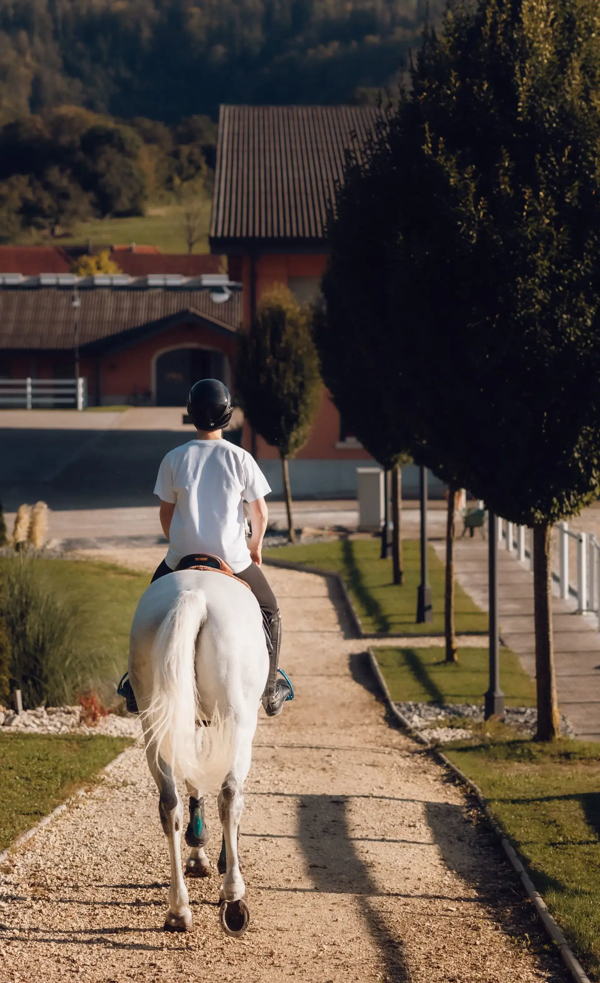 Student on horseback